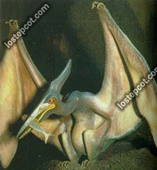 pteranodon