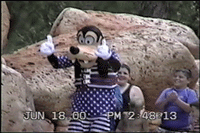 Goofy takes the Plunge